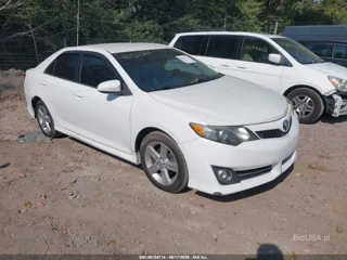 TOYOTA TOYOTA CAMRY SE