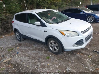 FORD FORD ESCAPE SE