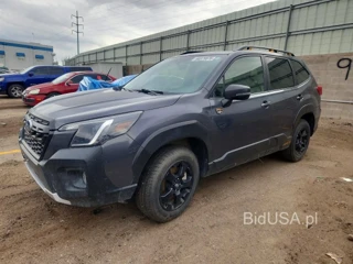 SUBARU FORESTER WILDERNESS