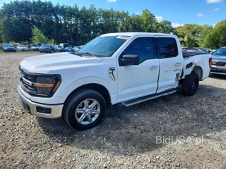 FORD F150 XLT
