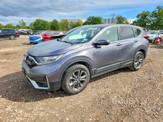 HONDA CR-V EX
