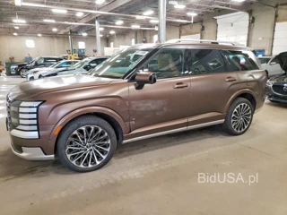 HYUNDAI PALISADE CALLIGRAPHY