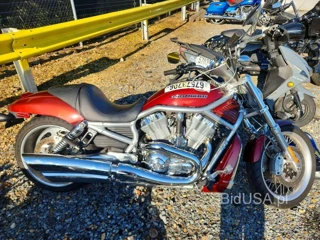 HARLEY-DAVIDSON VRSCAW