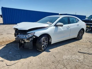 ACURA TLX TECH
