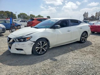 NISSAN MAXIMA 3.5 SV