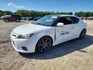 SCION TC BASE