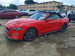 FORD MUSTANG