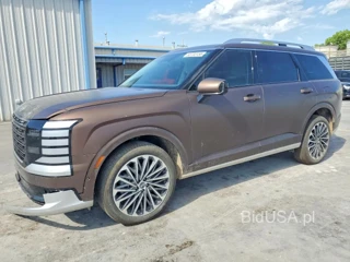 HYUNDAI PALISADE CALLIGRAPHY