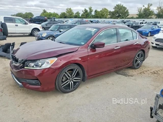HONDA ACCORD SPORT