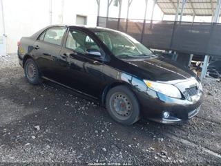 TOYOTA TOYOTA COROLLA XLE