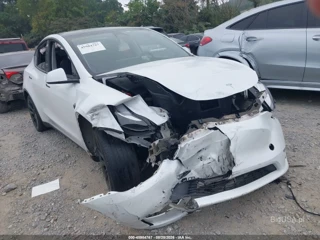 TESLA TESLA MODEL Y