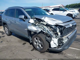 TOYOTA TOYOTA RAV4 XLE