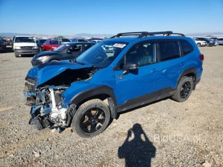 SUBARU FORESTER WILDERNESS