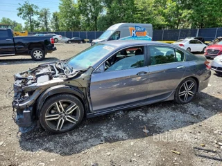 HONDA ACCORD SPORT