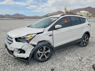 FORD ESCAPE SEL