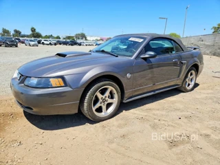 FORD MUSTANG GT
