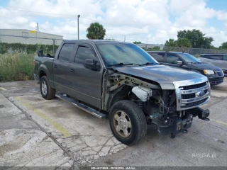 FORD FORD F-150 XLT