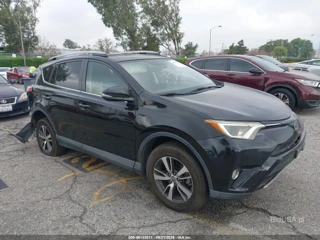 TOYOTA TOYOTA RAV4 XLE