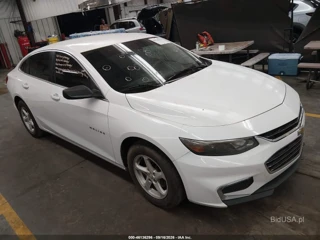 CHEVROLET CHEVROLET MALIBU LS