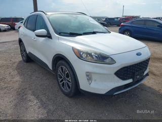FORD FORD ESCAPE SEL