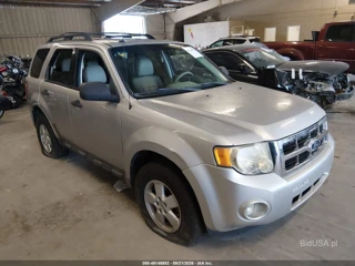 FORD FORD ESCAPE XLT
