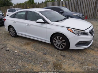 HYUNDAI HYUNDAI SONATA SPORT