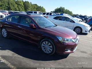 HONDA HONDA ACCORD EX-L