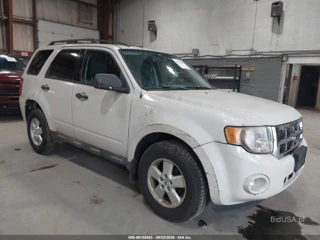 FORD FORD ESCAPE XLT
