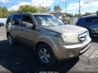 HONDA HONDA PILOT EX-L