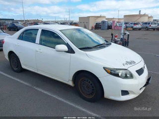TOYOTA TOYOTA COROLLA LE