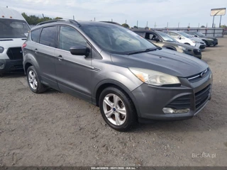 FORD FORD ESCAPE SE