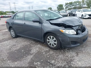 TOYOTA TOYOTA COROLLA LE