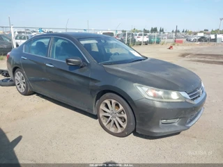 HONDA HONDA ACCORD SPORT