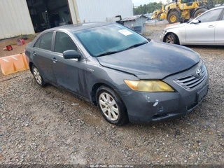 TOYOTA TOYOTA CAMRY HYBRID