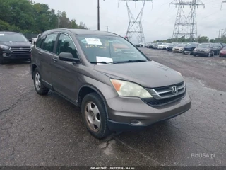 HONDA HONDA CR-V LX