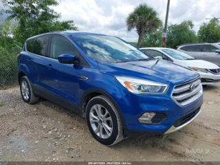 FORD FORD ESCAPE SE
