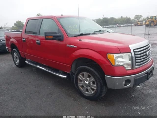 FORD FORD F-150 FX4/HARLEY-DAVIDSON/KING RANCH/LARIAT/PLATINUM/XL/XLT