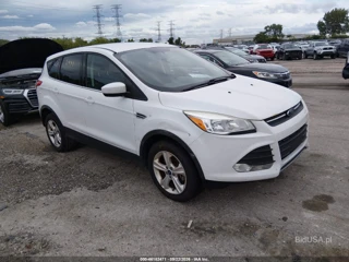 FORD FORD ESCAPE SE