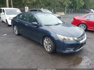 HONDA HONDA ACCORD SPORT