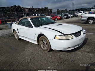 FORD FORD MUSTANG