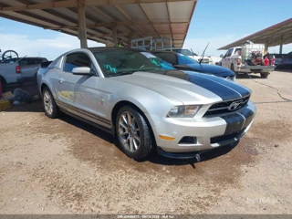 FORD FORD MUSTANG V6 PREMIUM