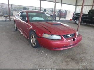 FORD FORD MUSTANG
