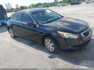 HONDA HONDA ACCORD 2.4 EX-L
