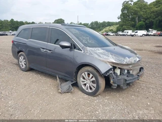 HONDA HONDA ODYSSEY EX-L