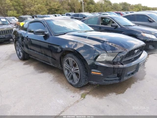FORD FORD MUSTANG V6
