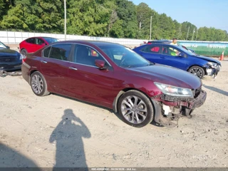HONDA HONDA ACCORD SPORT