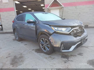 HONDA HONDA CR-V AWD EX