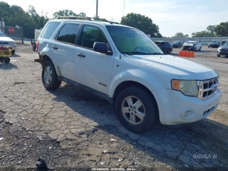 FORD FORD ESCAPE XLT