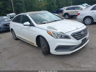 HYUNDAI HYUNDAI SONATA SPORT