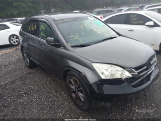 HONDA HONDA CR-V LX